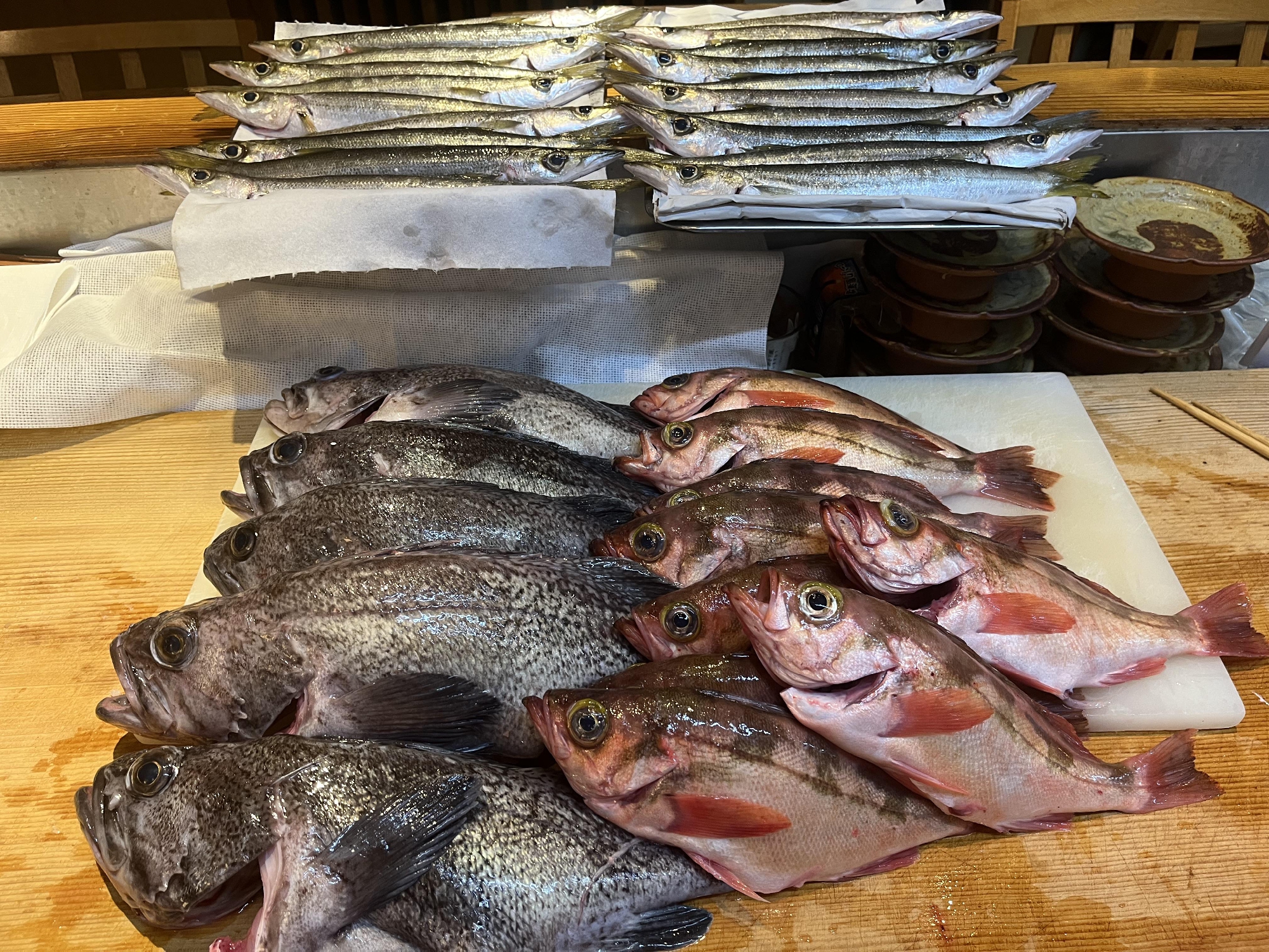 津軽半島の🐟