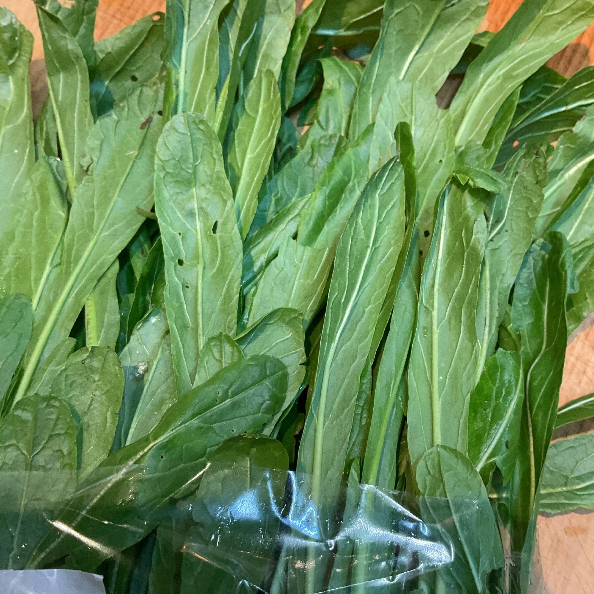 京やさい　佐伯さんの壬生菜