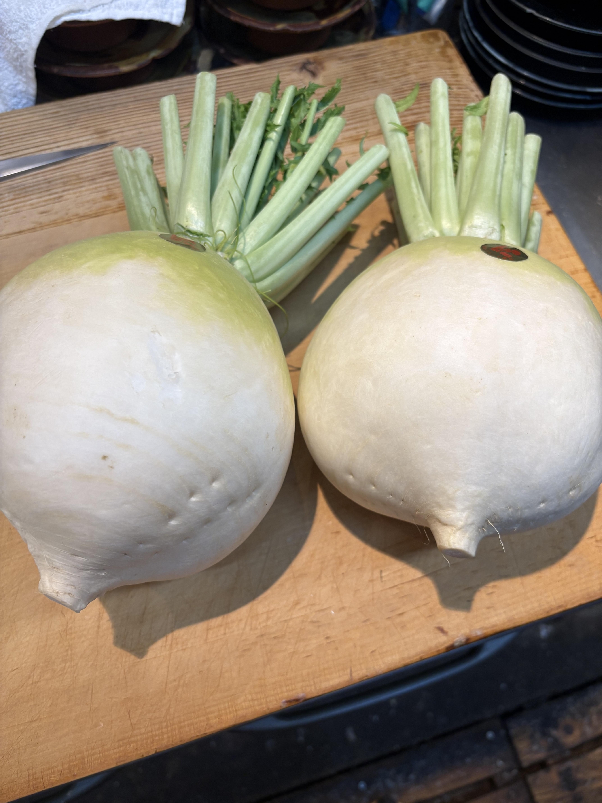 京都　 伝統野菜　聖護院大根