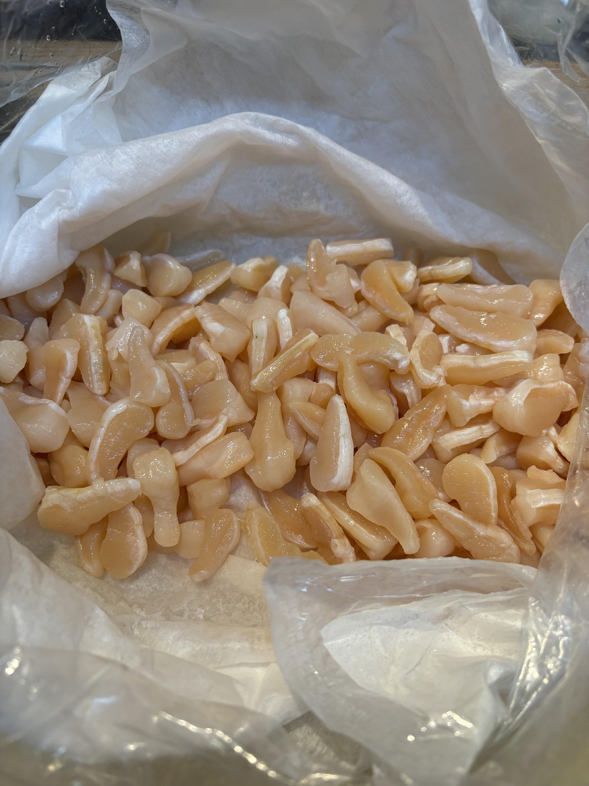 宇和島　アコヤ貝　貝柱入荷しました