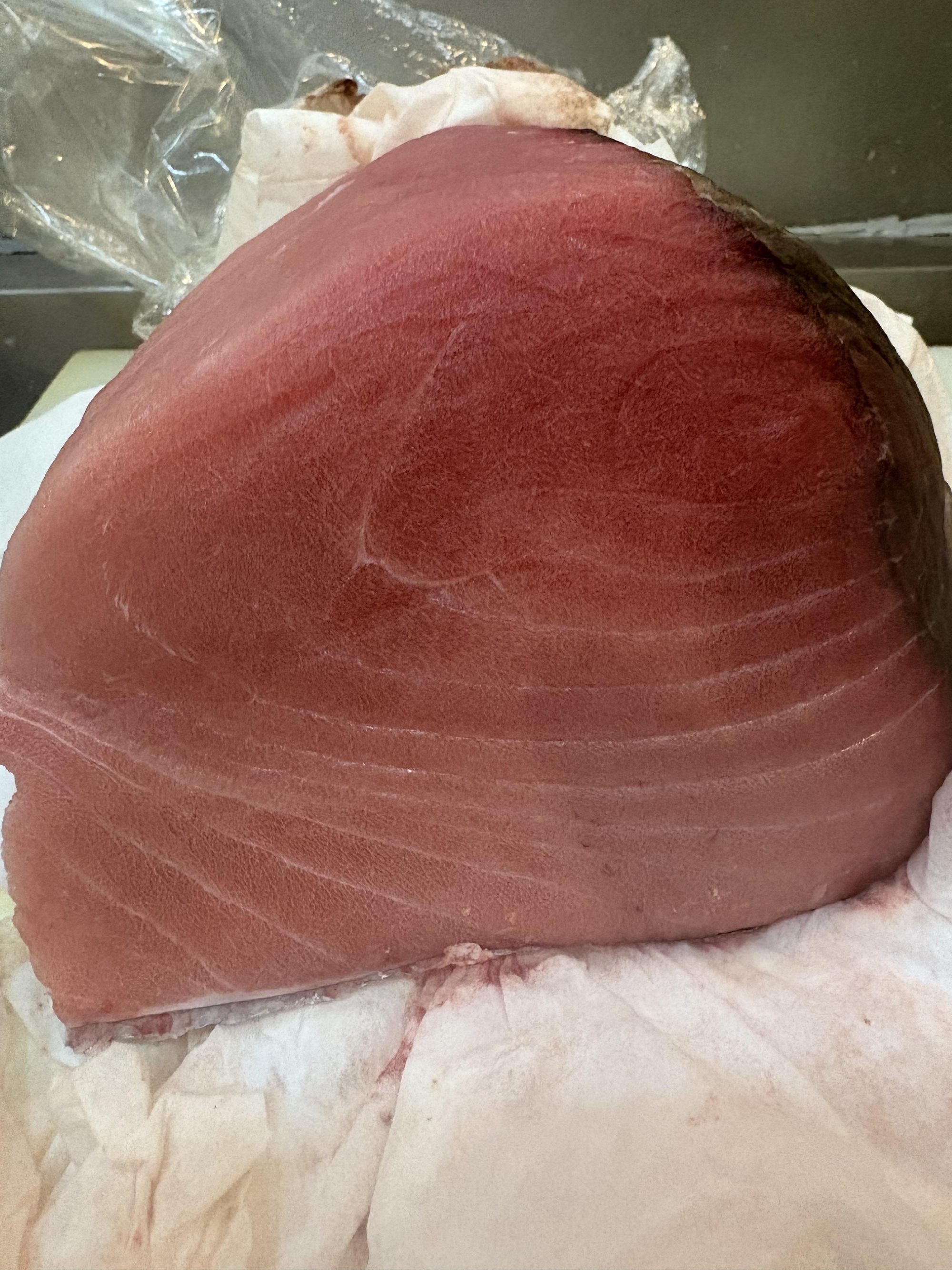 紀伊長島　極上キハダマグロ