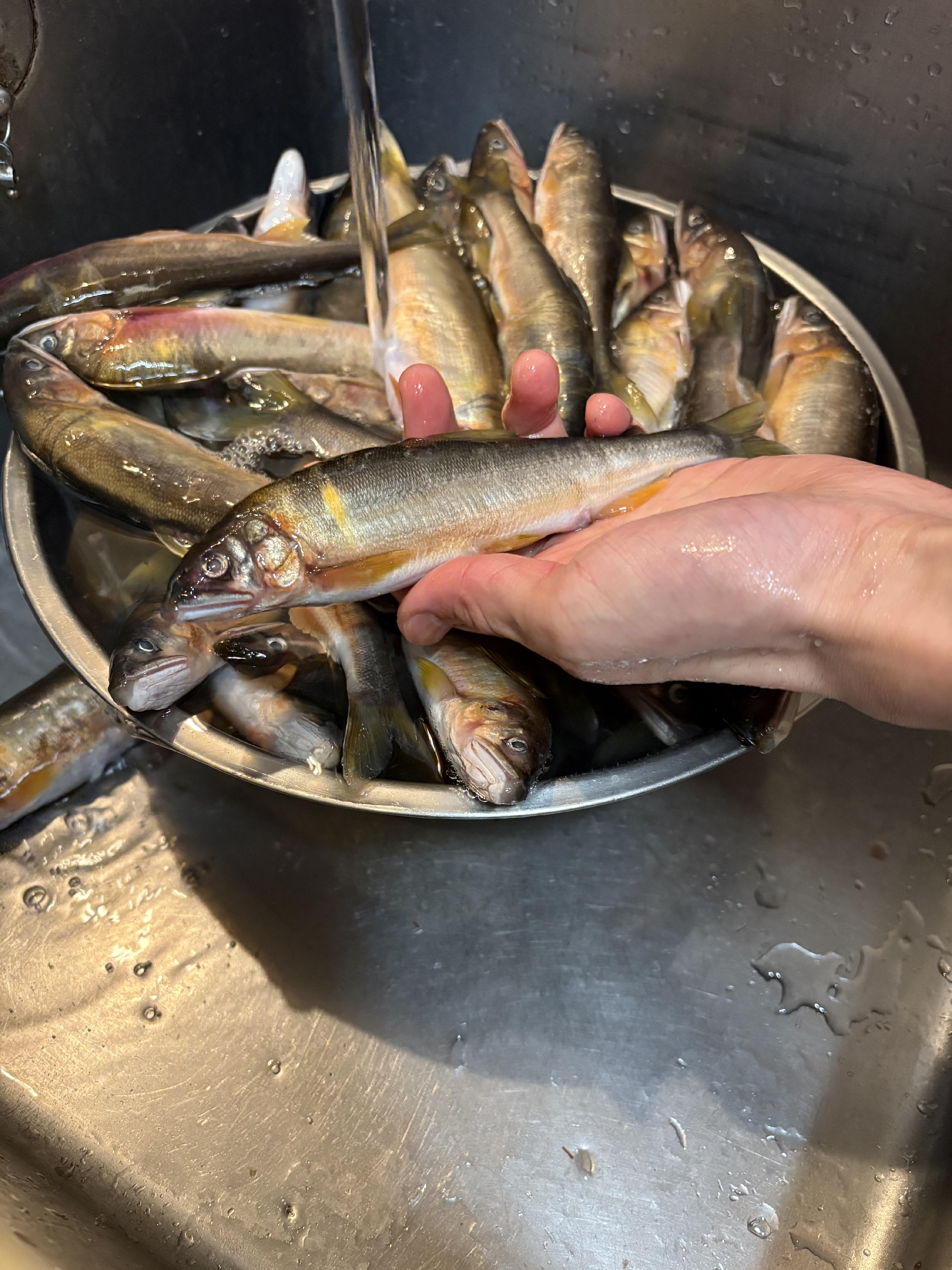 おせち料理の仕込み　始まりました