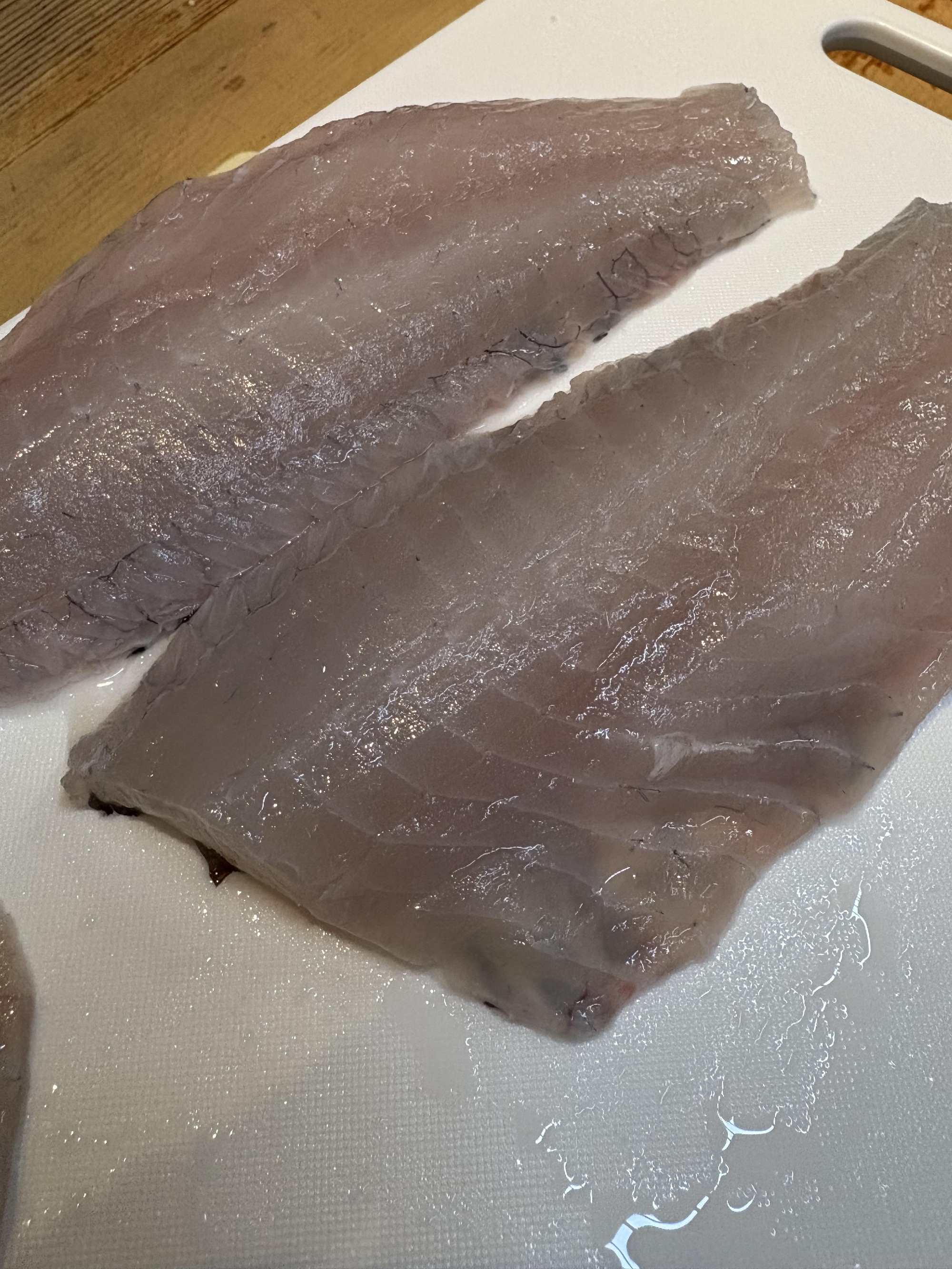 三浦半島　神経〆武鯛