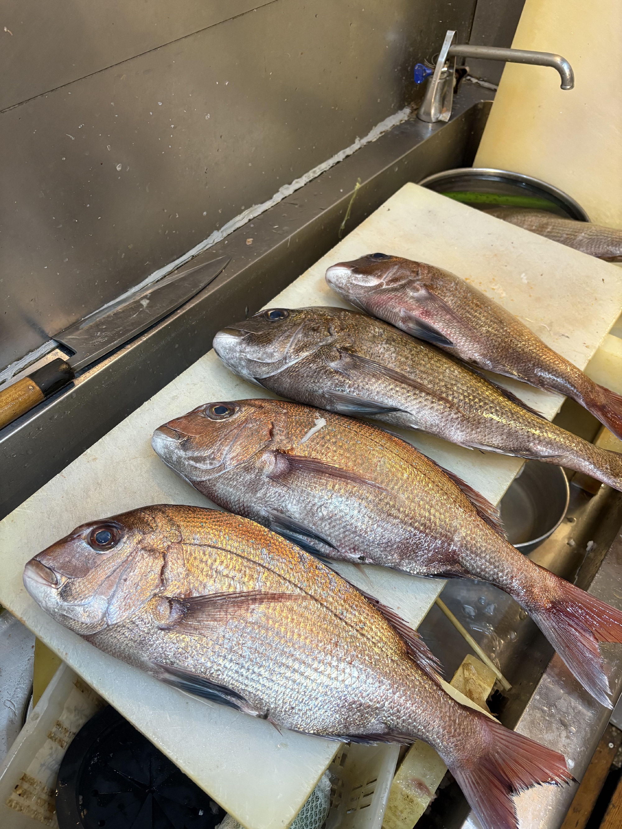 しまなみ海道　大島　神経〆天然真鯛