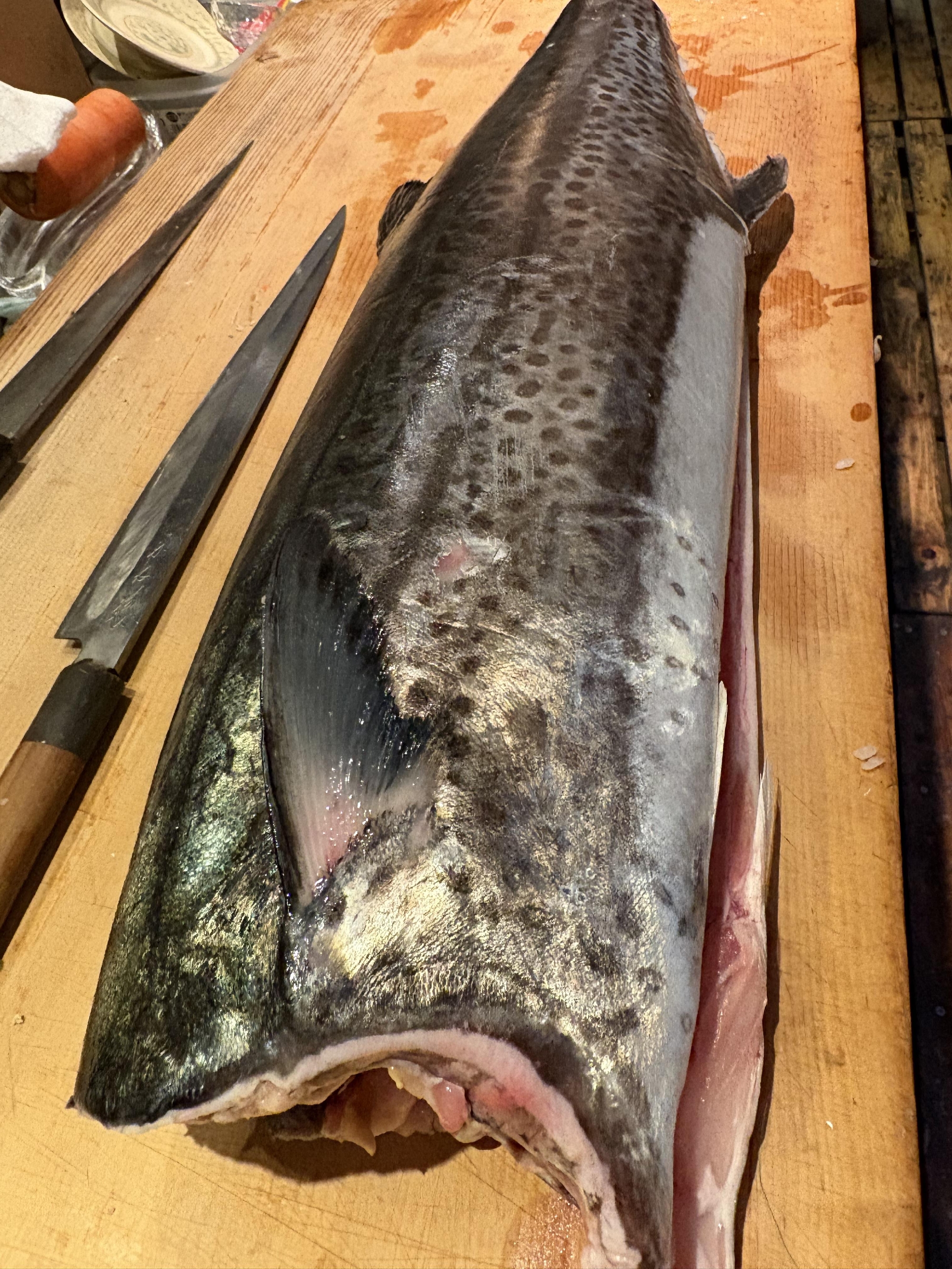 愛媛　長浜　6.２キロの活〆鰆